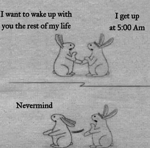 A two-panel black-and-white cartoon featuring two rabbits. In the top panel, one rabbit says, 'I want to wake up with you the rest of my life,' while the other replies, 'I get up at 5:00 Am.' In the bottom panel, the first rabbit walks away with its back turned, and the text 'Nevermind' appears above it.