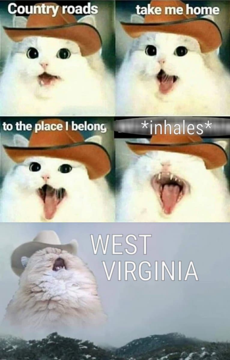 A five-panel meme featuring a white cat wearing a cowboy hat, singing the lyrics to the song 'Country Roads' with an exaggerated expression, culminating in the cat pointing to a landscape labeled 'WEST VIRGINIA'.