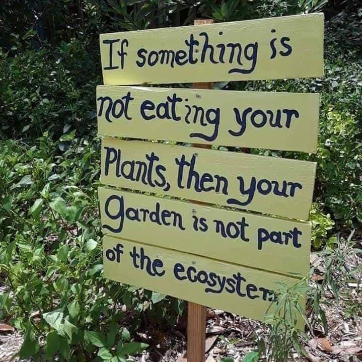 A photograph of a hand-painted, multi-plank wooden garden sign mounted on a post in a leafy outdoor setting. The sign features a humorous message about garden ecology written in black marker on pale yellow planks.