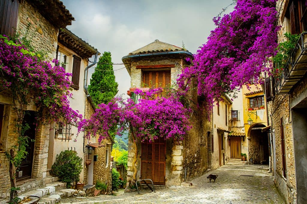 A scenic photograph of a narrow, cobblestone street in a European town, likely Marseille, lined with stone buildings and vibrant purple bougainvillea flowers. A small dog is visible walking in the distance on the right side of the path.