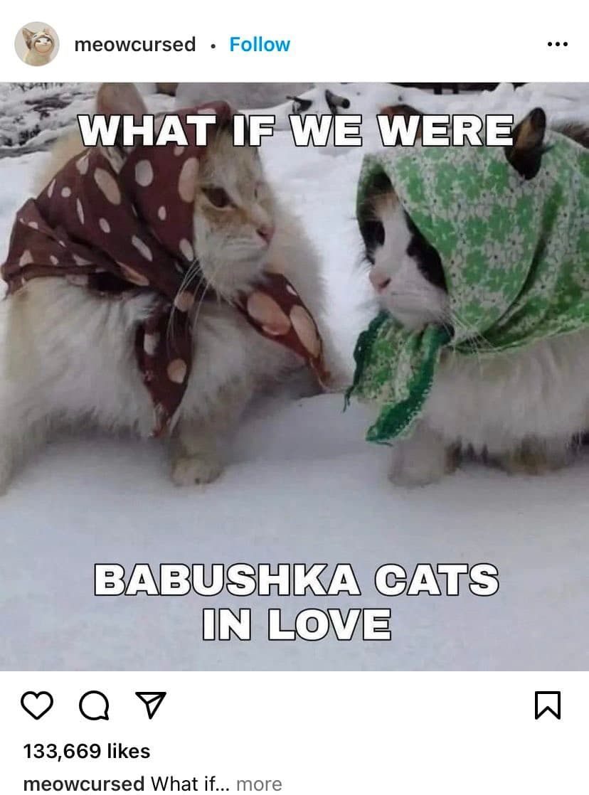 A screenshot of a social media post featuring a meme with two cats in the snow wearing traditional babushka headscarves. The image has text overlaid on it.