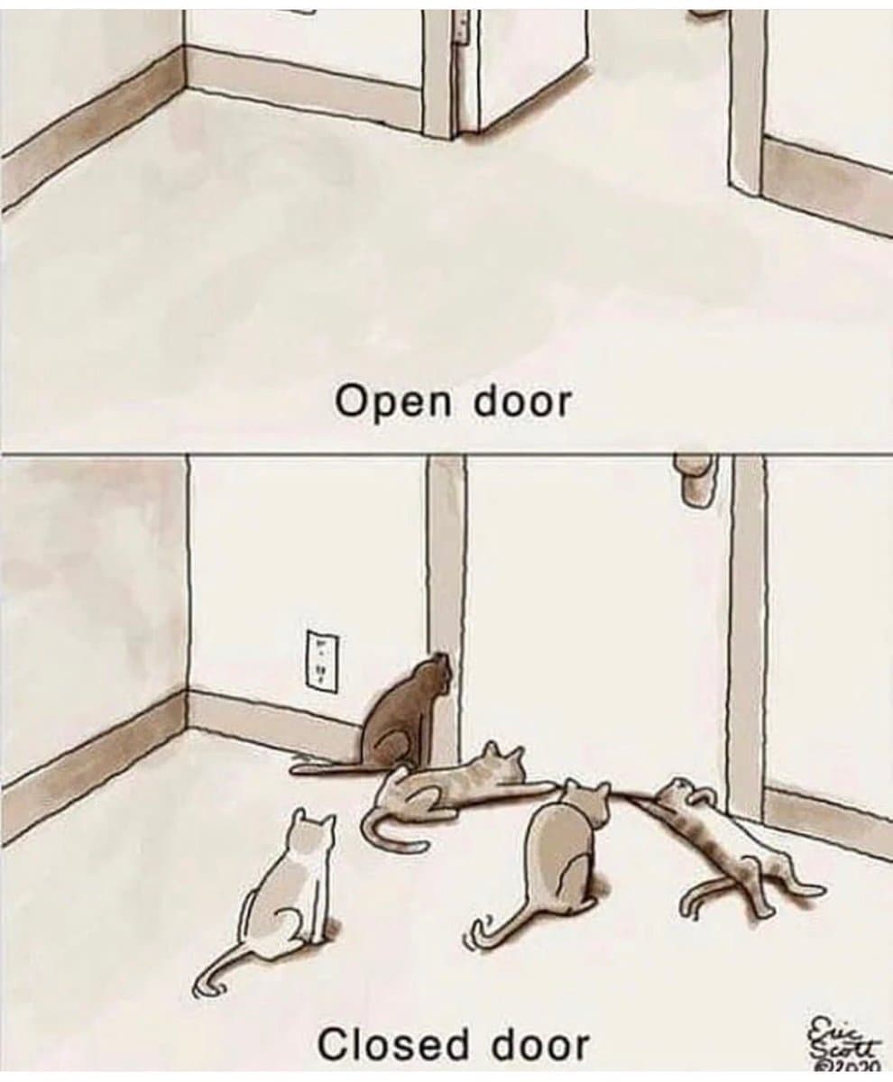 A two-panel comic illustrating the behavior of cats in a room. The top panel shows an empty room with the caption 'Open door.' The bottom panel shows five cats sitting and lying on the floor with the caption 'Closed door.'