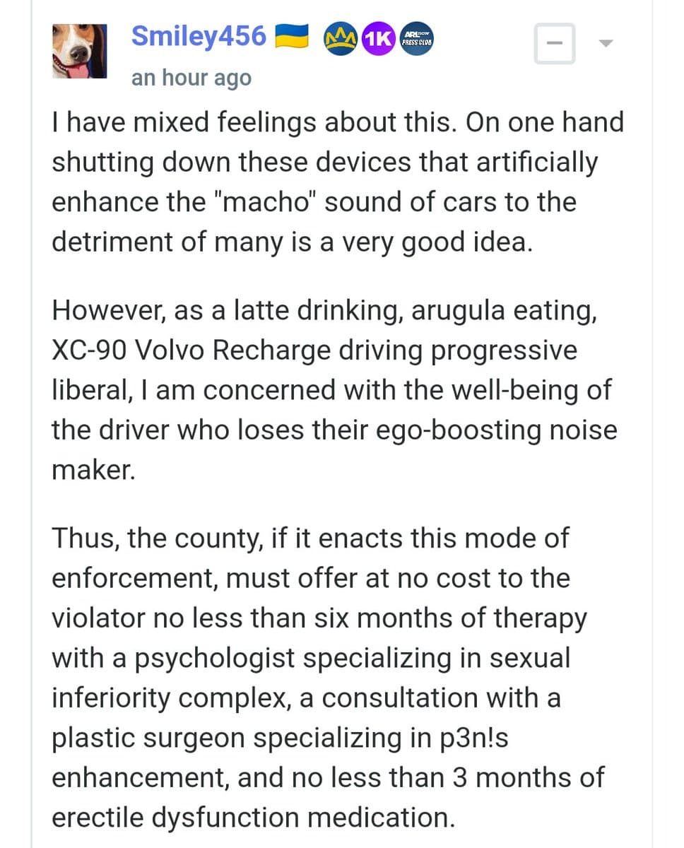 A screenshot of a social media post by user Smiley456, featuring a profile picture of a dog and several profile badges. The post contains a multi-paragraph text comment discussing a local news article about automated noise ordinance enforcement, proposing humorous and satirical 'creative compromises' for violators.