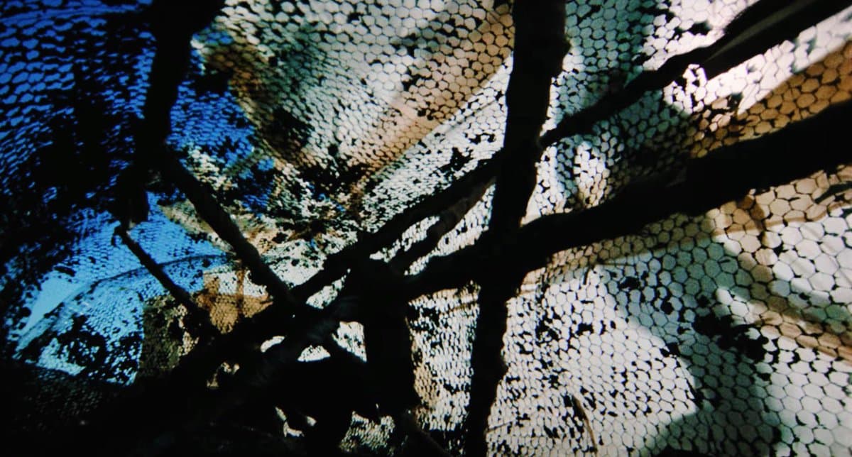 A close-up, high-contrast photograph of a textured, honeycomb-like surface partially obscured by dark, intersecting branches or wires.