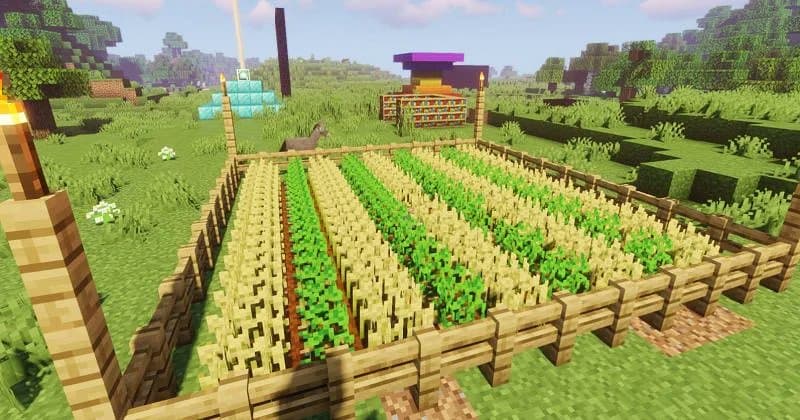 A screenshot from the video game Minecraft showing a fenced-in farm with rows of crops, including wheat and carrots, set in a grassy landscape with a bookshelf structure in the background.