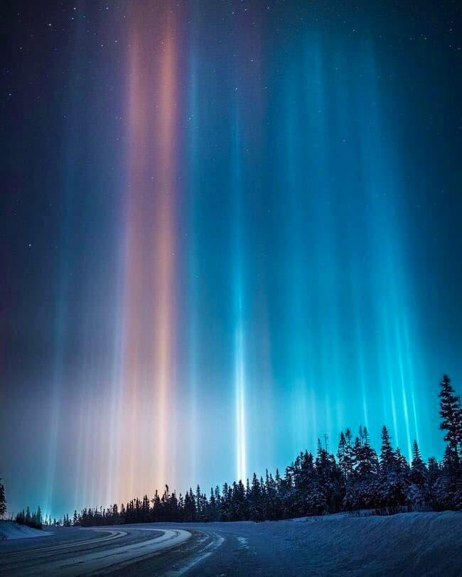 A nighttime landscape photograph showing vertical light pillars in the sky above a snow-covered road and a line of evergreen trees. The pillars display a gradient of colors, including blue, white, and orange, against a starry sky.