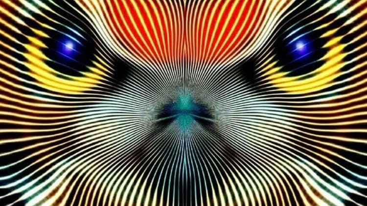 A psychedelic, abstract image featuring a symmetrical, radiating pattern of concentric lines in red, yellow, white, and blue against a black background, resembling a stylized face or optical illusion.