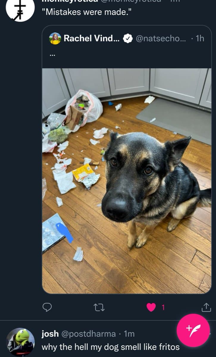 A screenshot of a Twitter thread showing a German Shepherd sitting on a wooden floor surrounded by shredded paper and trash, with a caption about mistakes being made. Below it, a reply from user 'josh' asks why their dog smells like Fritos.