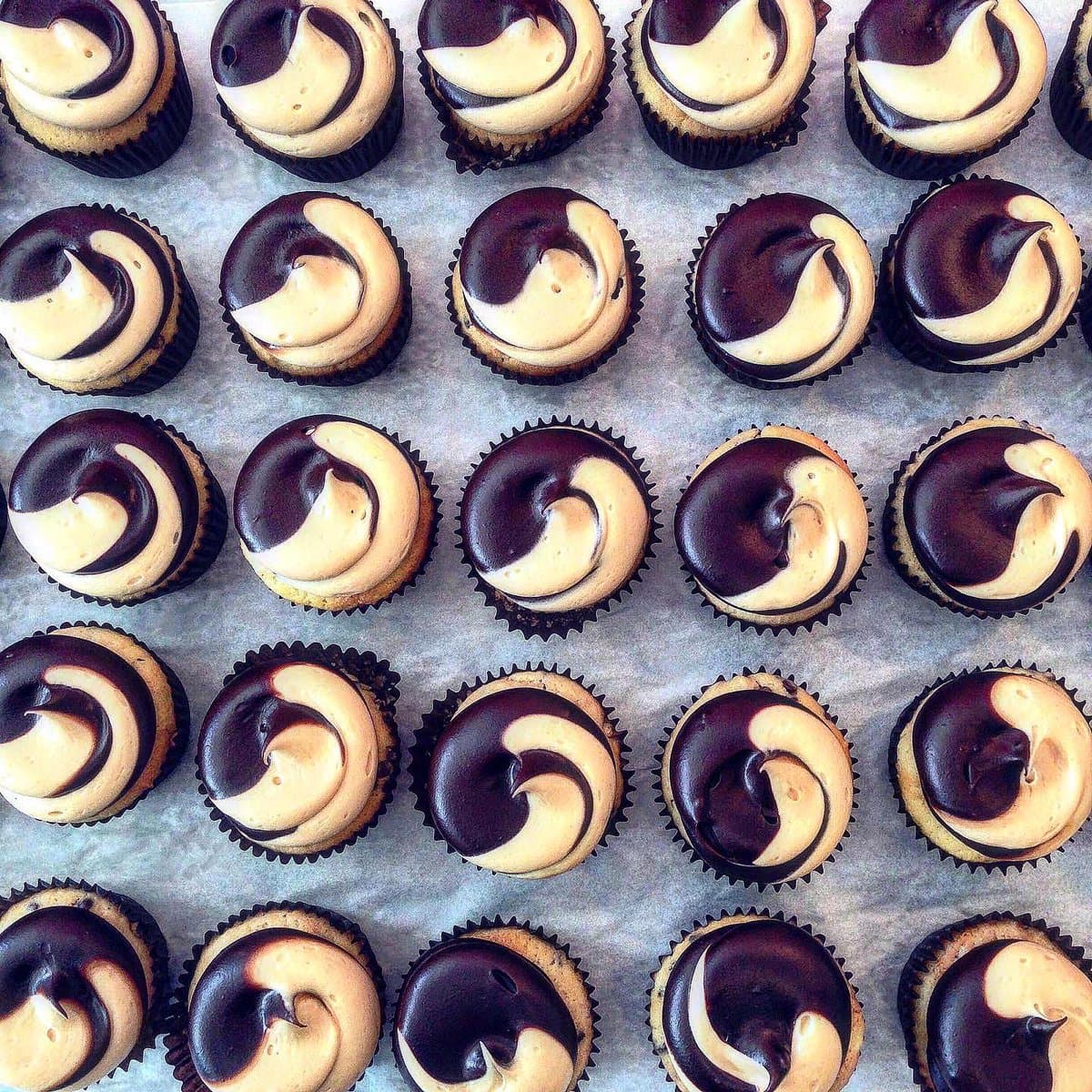 A top-down photograph of numerous cupcakes arranged in rows on a sheet of parchment paper. Each cupcake is topped with a swirl of two-tone frosting, combining dark chocolate and a lighter, tan-colored cream.
