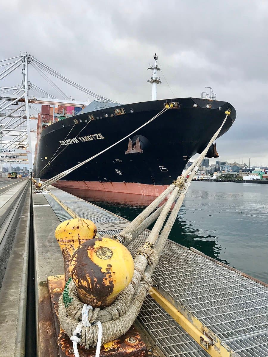 A large black container ship named 'SEASPAN YANGTZE' is docked at a port terminal, secured by thick ropes to yellow bollards on the pier. In the background, port cranes and a city skyline are visible under an overcast sky.
