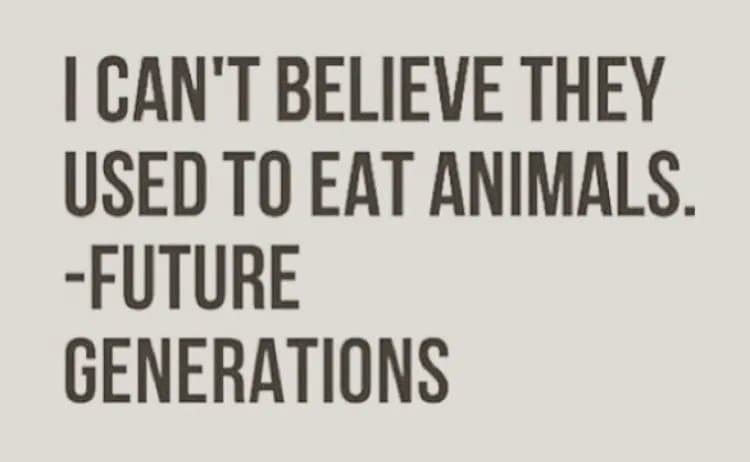 A text-based image featuring a quote in bold, dark gray capital letters on a light beige background. The text reads: 'I CAN'T BELIEVE THEY USED TO EAT ANIMALS. -FUTURE GENERATIONS'.
