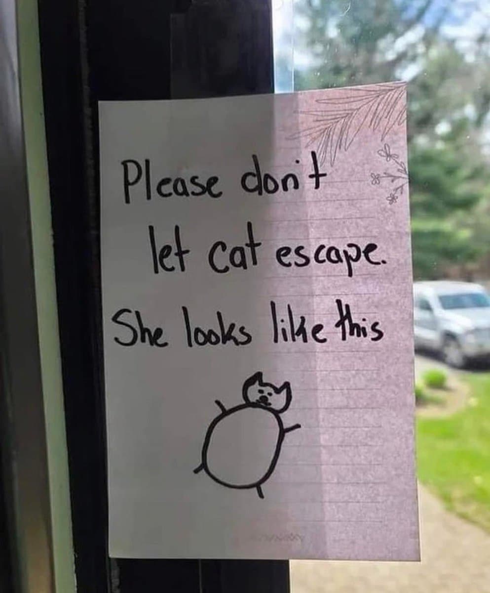 A handwritten note taped to a window, featuring a simple drawing of a cat. The note asks for help in preventing a cat from escaping. In the background, a white vehicle and greenery are visible through the glass.