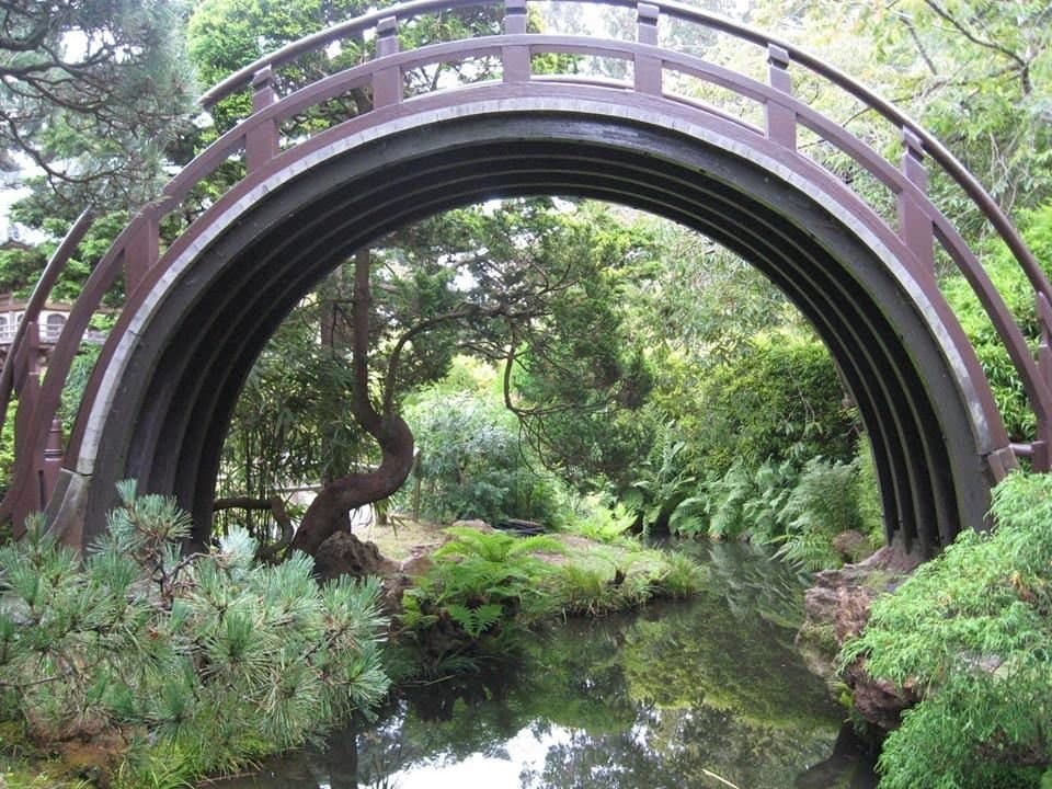 A photograph of a traditional Japanese-style arched wooden bridge spanning a small pond in a lush garden. The bridge is surrounded by dense greenery, including pine trees, ferns, and other shrubs, with the water below reflecting the foliage and the underside of the bridge.