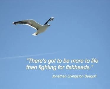 A photograph of a seagull flying against a clear blue sky, with a quote overlaid in white text at the bottom.