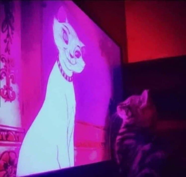 A real-life tabby cat sits in the foreground, looking up at a television screen displaying an animated white cat from the movie 'Blade Runner 2049'. The scene is illuminated by a strong purple and pink light cast from the screen.