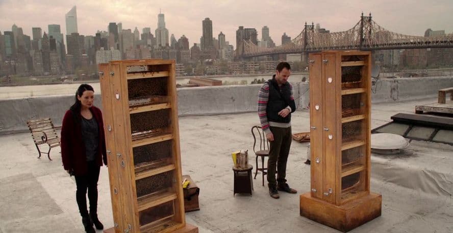 A still from a film or television show featuring two people standing on a city rooftop next to two open wooden beehive boxes, with a city skyline and a bridge visible in the background.