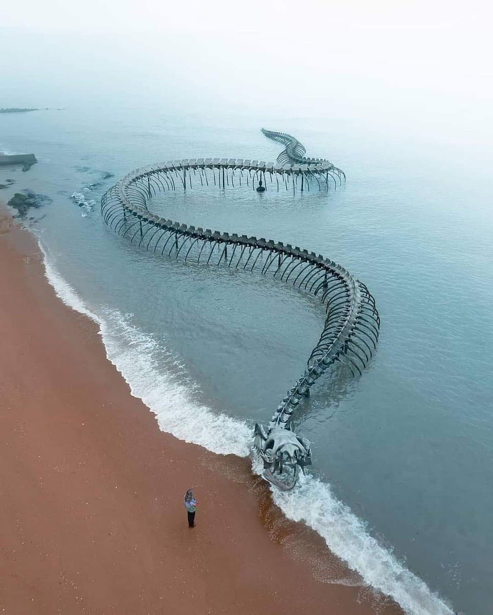 An aerial view of a large, serpentine metal skeleton structure extending from a sandy beach into the ocean, with a single person standing on the sand near the creature's head.