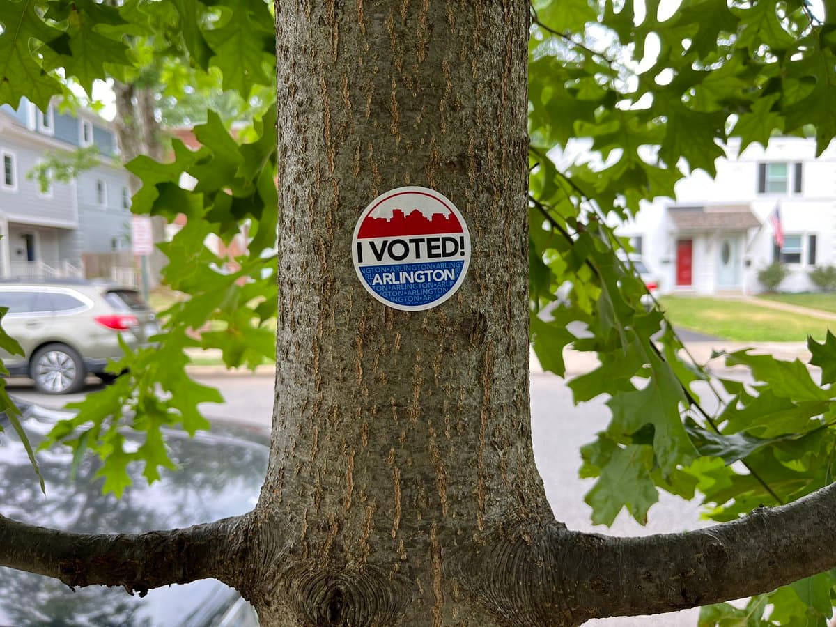 A close-up photograph of a tree trunk in a residential neighborhood featuring a circular 'I VOTED!' sticker. The background shows a street with houses and a parked car.