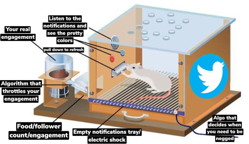A satirical diagram illustrating the Twitter user experience as a rat in a Skinner box. The image uses labels to compare app features to animal training mechanisms, such as 'pull down to refresh' and 'electric shock'.
