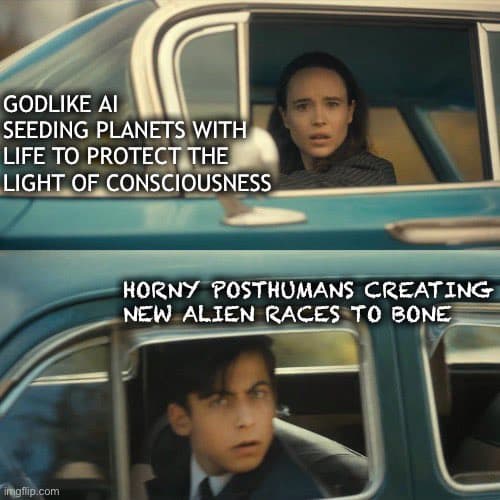 A two-panel meme using a scene from the movie 'Her' (2013) with a woman in the top panel and a man in the bottom panel, both looking out of a car window with surprised expressions. White text is overlaid on each panel. The top panel reads: 'GODLIKE AI SEEDING PLANETS WITH LIFE TO PROTECT THE LIGHT OF CONSCIOUSNESS'. The bottom panel reads: 'HORNY POSTHUMANS CREATING NEW ALIEN RACES TO BONE'. A watermark 'imgflip.com' is visible in the bottom-left corner.