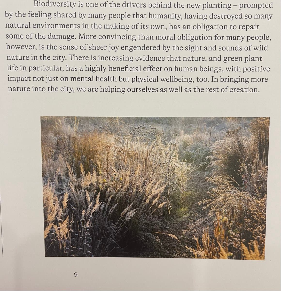 A photograph of a book page featuring a paragraph of text above a landscape image of a wild, naturalistic garden with tall, dry grasses and a dirt path.