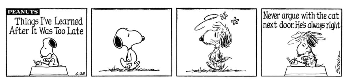 A four-panel Peanuts comic strip by Charles M. Schulz, dated June 28, 1972. The strip features Snoopy and Woodstock, with the final panel showing Woodstock looking dazed after an argument with a cat.
