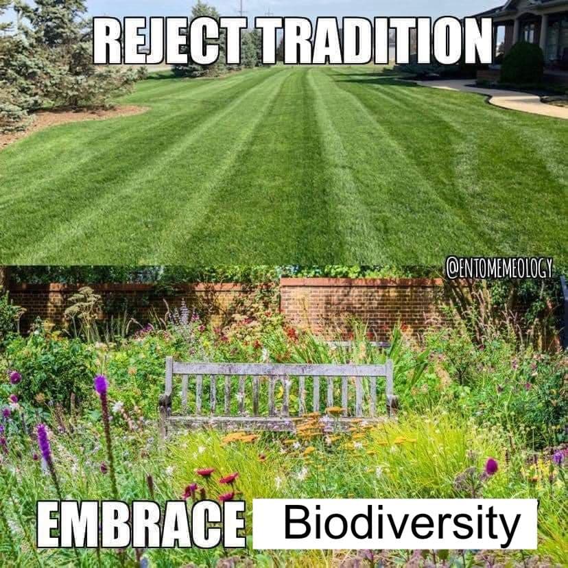 A two-panel meme contrasting a manicured lawn with a wild, biodiverse garden. The top panel shows a striped, mowed lawn with the text 'REJECT TRADITION' overlaid. The bottom panel shows a lush, untended garden with a wooden bench and the text 'EMBRACE Biodiversity' overlaid, along with the watermark '@ENTOMEMEOLOGY'.
