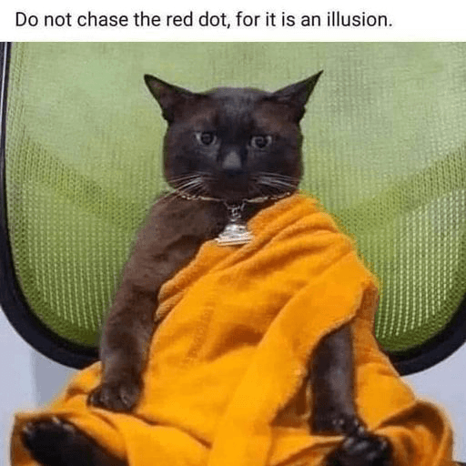 A black cat is dressed in an orange robe, sitting in a green mesh office chair to resemble a Buddhist monk. Text at the top of the image reads, "Do not chase the red dot, for it is an illusion."