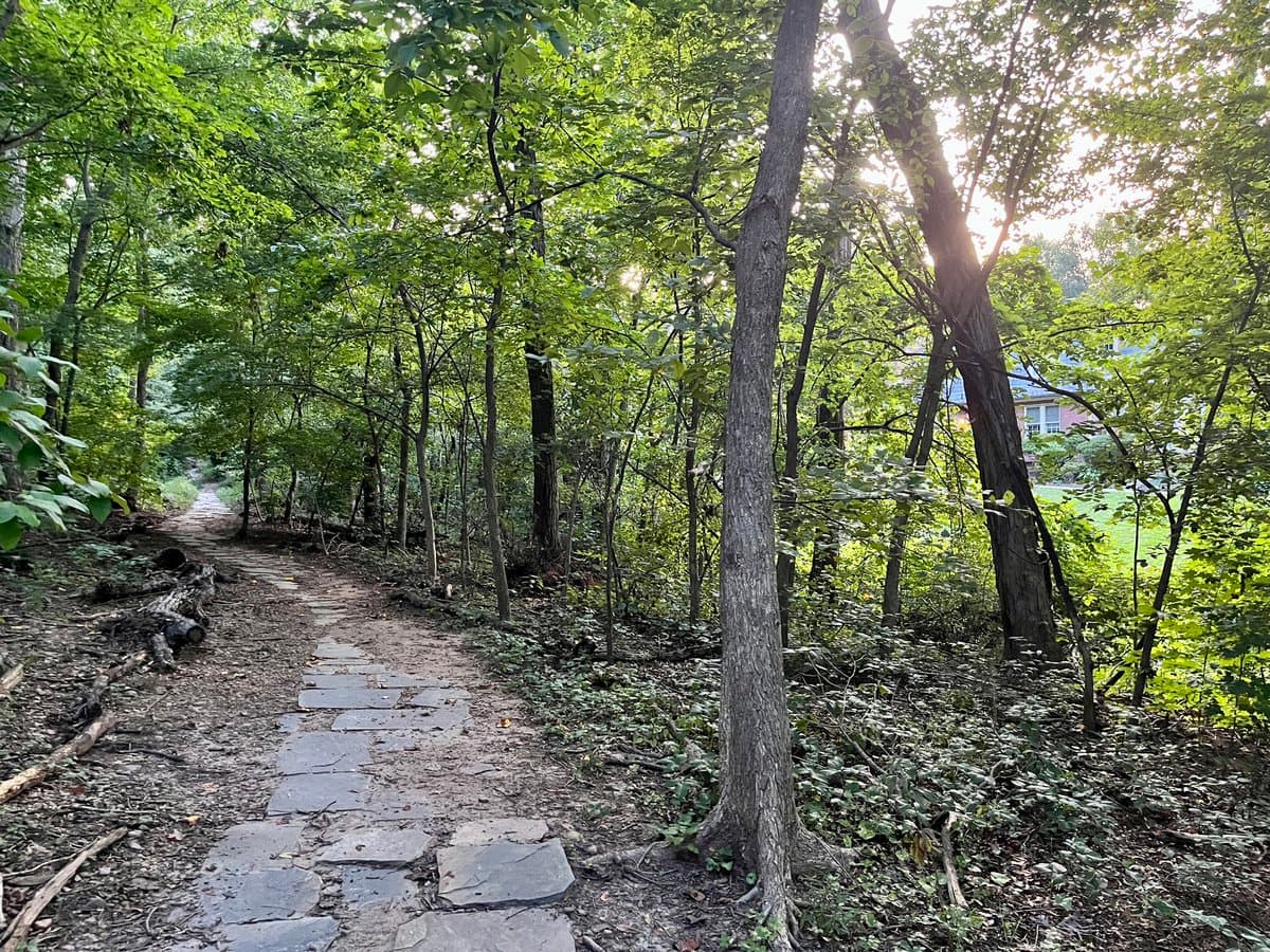 A dirt path lined with flat stepping stones winds through a dense, sunlit forest. A pink house is partially visible through the trees on the right side of the image.