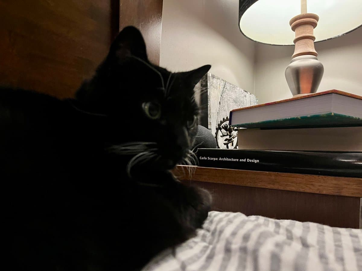 A black cat rests on a bed next to a wooden nightstand holding a lamp and a stack of books. The cat is looking towards the right side of the frame.
