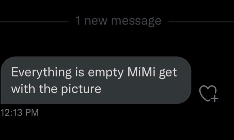 A screenshot of a direct message conversation showing a single incoming message. The message bubble contains the text "Everything is empty MiMi get with the picture" and is timestamped 12:13 PM.