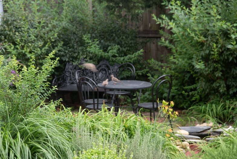 A lush garden scene featuring a black wrought-iron bistro table and chairs surrounded by dense green foliage, with three small birds perched on the table and one in flight.