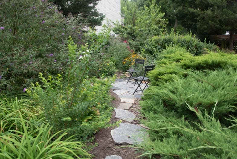 A lush garden scene featuring a winding path made of flat, irregular stepping stones surrounded by dense green foliage, shrubs, and flowering plants. Two black folding chairs are placed on the path, creating a small seating area amidst the greenery.