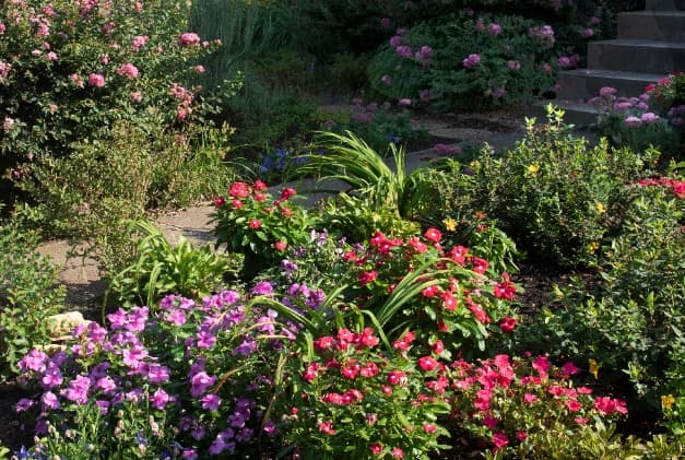 A vibrant garden scene featuring a variety of colorful flowers, including pink and red blooms, surrounded by lush green foliage. A stone pathway winds through the garden, leading to a set of steps in the background.