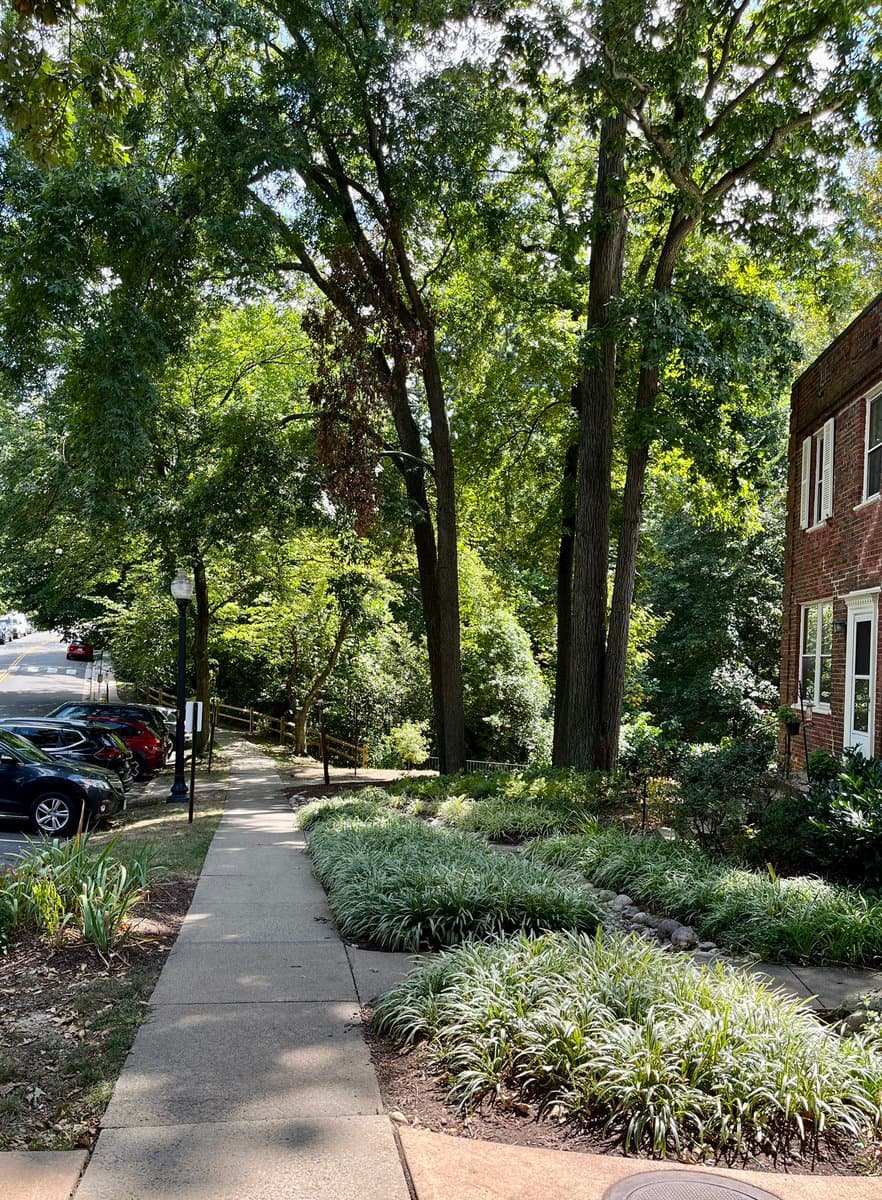 A sidewalk runs through a lush, green residential area with large trees and landscaped plantings, leading toward a brick building on the right and a street with parked cars on the left.