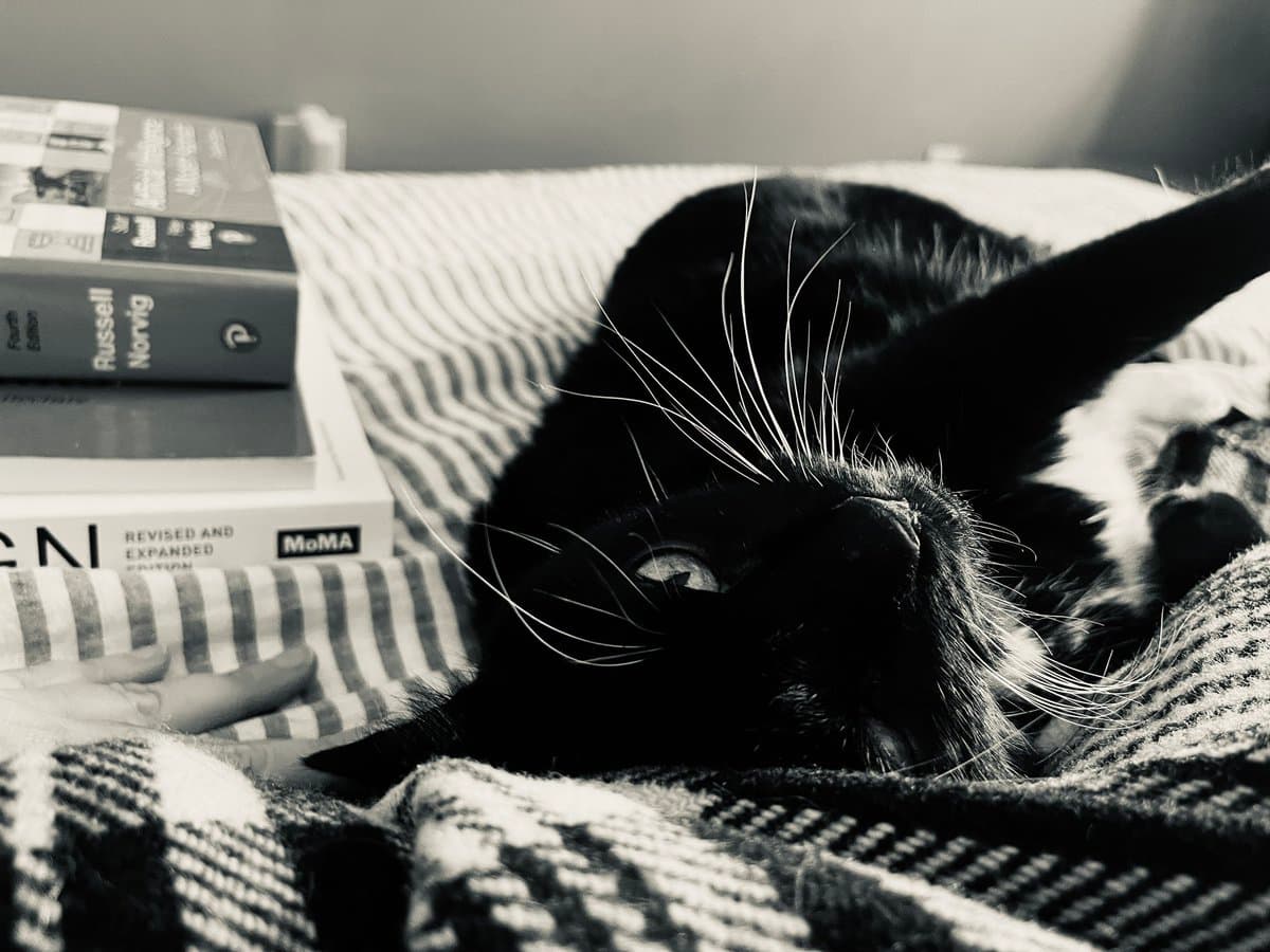 A black-and-white photograph of a black-and-white cat lying on a striped blanket next to a stack of books. The cat is looking toward the camera with its head resting on the fabric.
