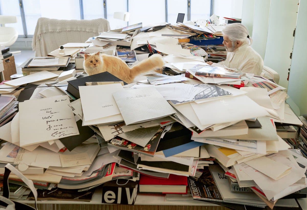 A photograph of a cluttered office desk covered in piles of papers, books, and magazines, with a white cat sitting on the left and a white-haired man working on the right.