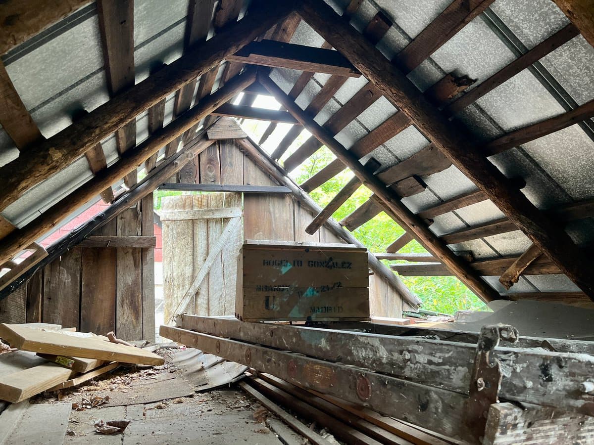 A view from inside a dilapidated wooden cabin looking out through a broken, open roof structure. A wooden crate with stenciled text sits on a pile of lumber in the center, with green foliage visible in the background.
