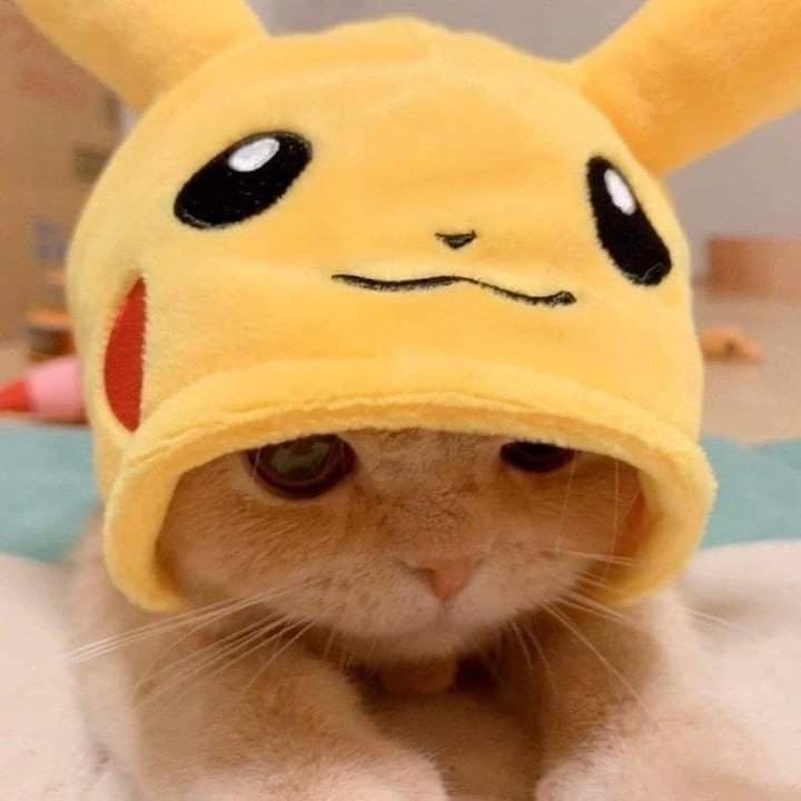 A close-up photograph of a light-colored cat wearing a yellow Pikachu plush hat. The cat has a neutral expression and is looking directly at the camera.