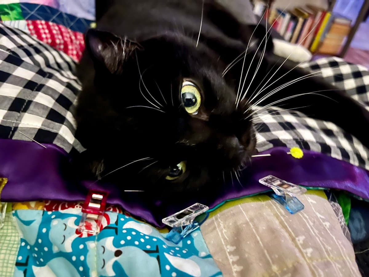 A black cat with bright green eyes is lying on a colorful quilt, resting its face on a purple fabric piece that is held in place by several colorful clothespins. The cat is positioned on a black-and-white checkered surface, with a bookshelf visible in the background.