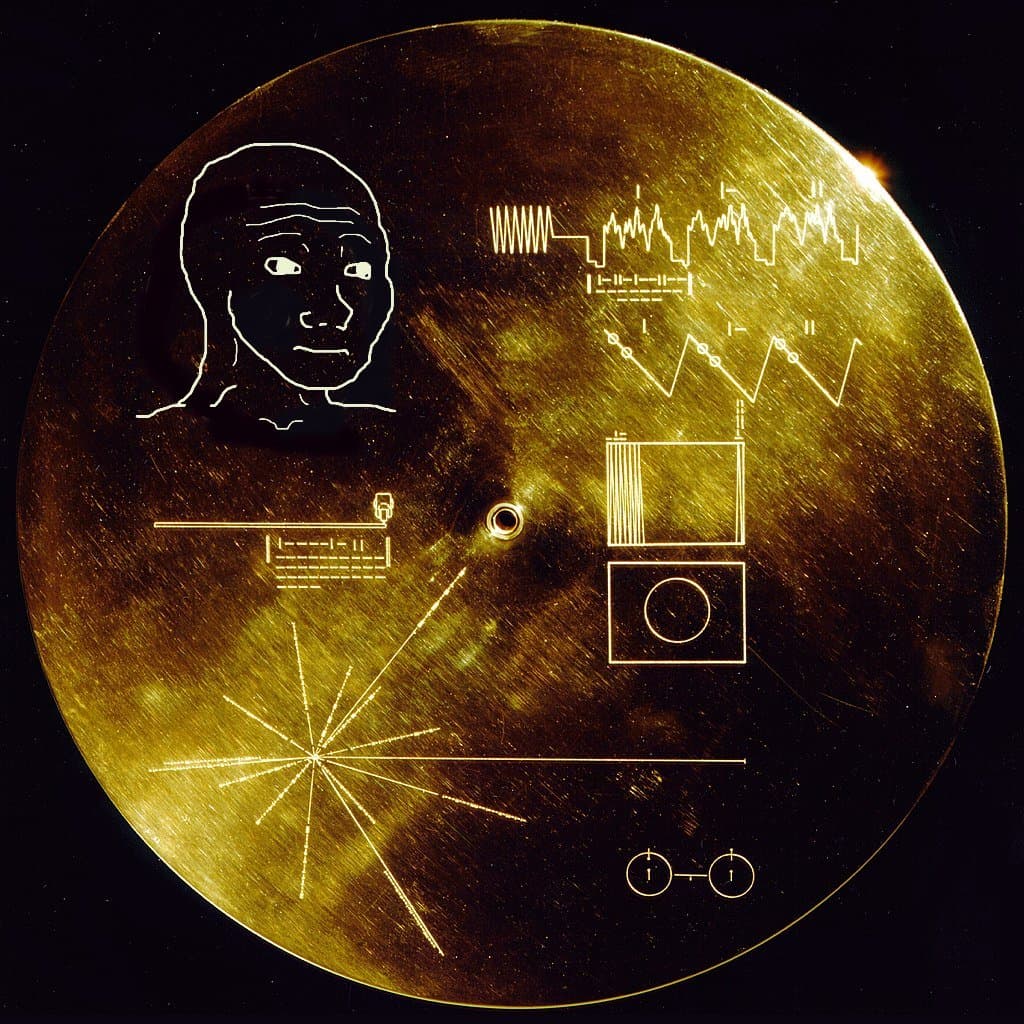 A digitally altered image of the golden Voyager Golden Record, featuring the 'Forever Alone' internet meme face etched in place of the original human figure. The image also includes the record's standard scientific diagrams, such as pulsar maps and hydrogen atom transitions.