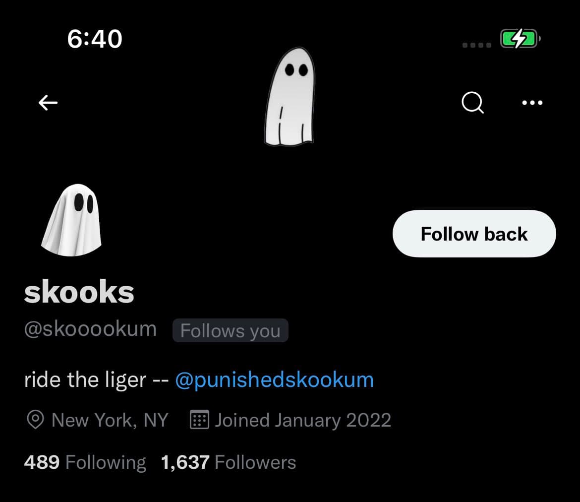 A screenshot of a Twitter profile page for the user 'skooks' (@skooookum), showing a 'Follow back' button and a 'Follows you' tag. The profile features a ghost avatar and a bio referencing another account.