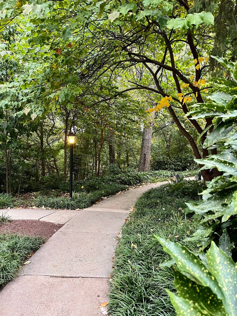 A paved walking path winds through a lush, green park area with dense trees and foliage. A lit black lamppost stands on the left side of the path, and a person is partially visible in the distance on the right.