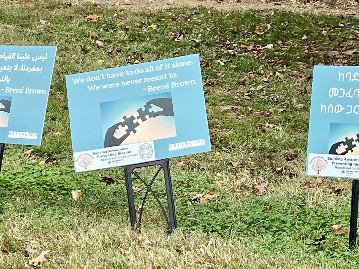 A photograph of three blue lawn signs planted in a grassy area, featuring a Brene Brown quote and suicide prevention information in multiple languages. The central sign is in English, while the flanking signs display the same message in Arabic and Amharic.