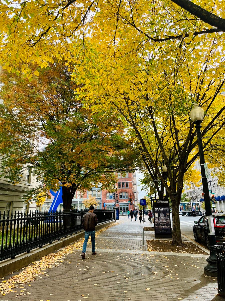 A street scene in autumn featuring a brick sidewalk lined with trees displaying bright yellow leaves. A person walks away from the camera on the left, while a black advertising banner and a street lamp stand on the right.