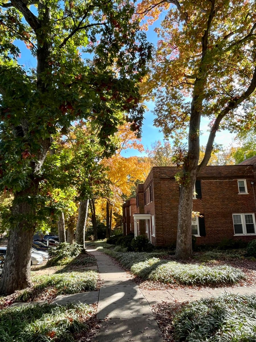 A sunny outdoor photograph of a residential street lined with mature trees displaying early autumn foliage, featuring a brick apartment building on the right and a paved sidewalk leading into the distance.