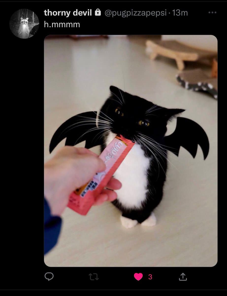 A screenshot of a Twitter post by user 'thorny devil' (@pugpizzapepsi) featuring a photo of a black and white cat wearing a pair of black bat wings. A person's hand is offering the cat a pink chocolate bar, which the cat is biting. The post caption reads 'h.mmmm'.