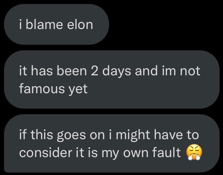 A screenshot of a text message conversation on a dark background, showing three messages from the same sender. The messages express frustration about not becoming famous after two days, with the sender blaming Elon and considering it their own fault.