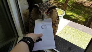 A close-up photograph of a large owl perched on a windowsill, holding a white envelope in its beak while a person's hand reaches out to take it. The background shows a sunny outdoor area with green grass and a potted plant.