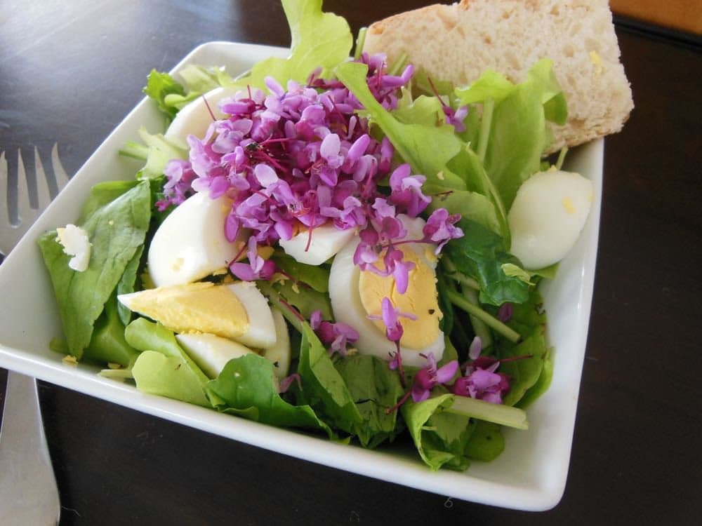 A white square bowl filled with a salad of green leaves, hard-boiled egg pieces, and a garnish of purple flowers, with a piece of bread on the side.